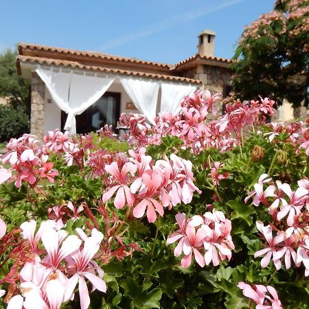 La Villetta San Teodoro  Buitenkant foto