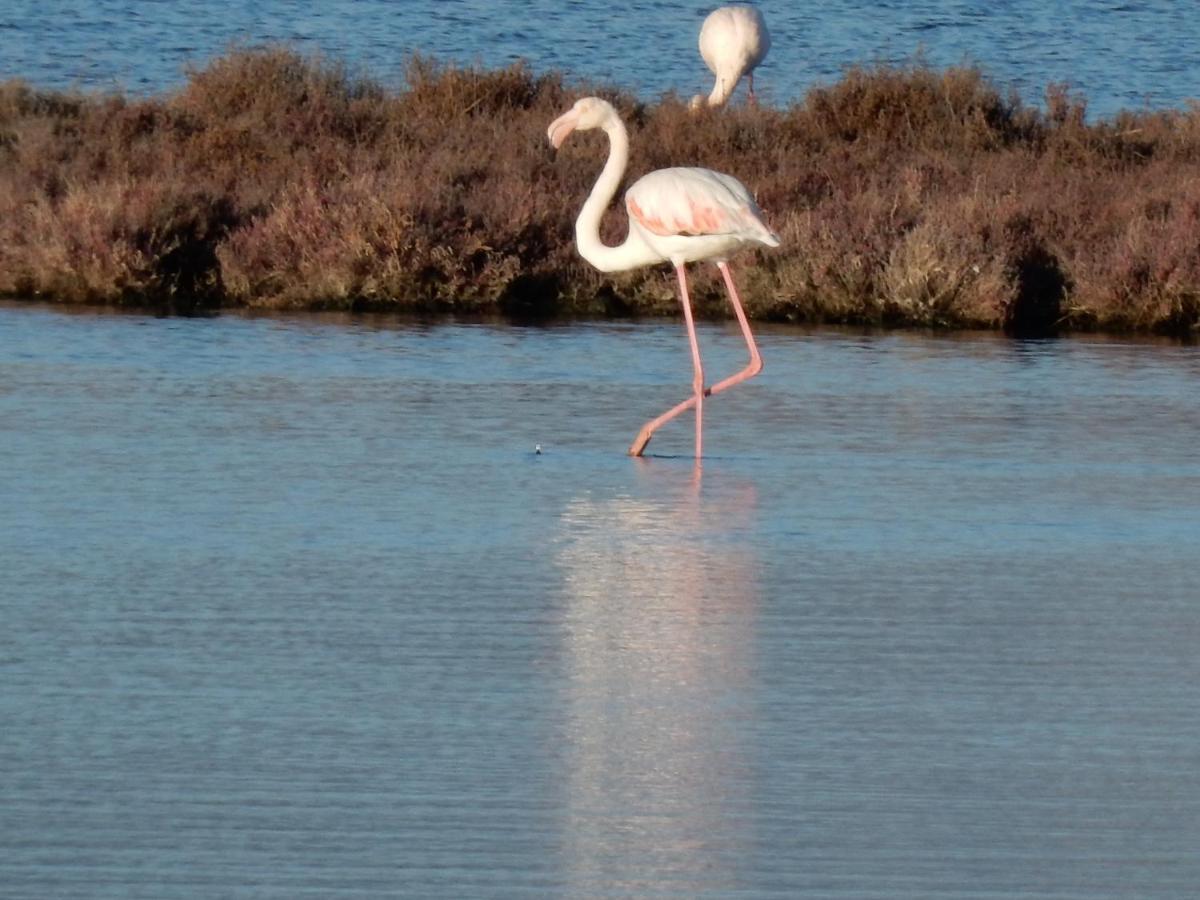 La Villetta San Teodoro  Buitenkant foto