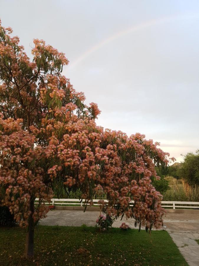 La Villetta San Teodoro  Buitenkant foto